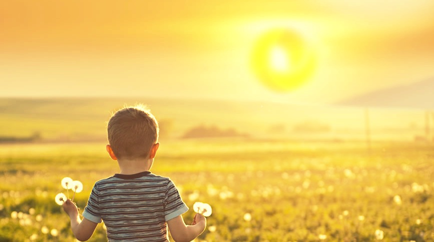 most flexible 100 watt or 12v portable panel